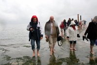 Cliquez pour voir en plus grand svp - Photos de Bernard Joubert et Francis Bouyssou